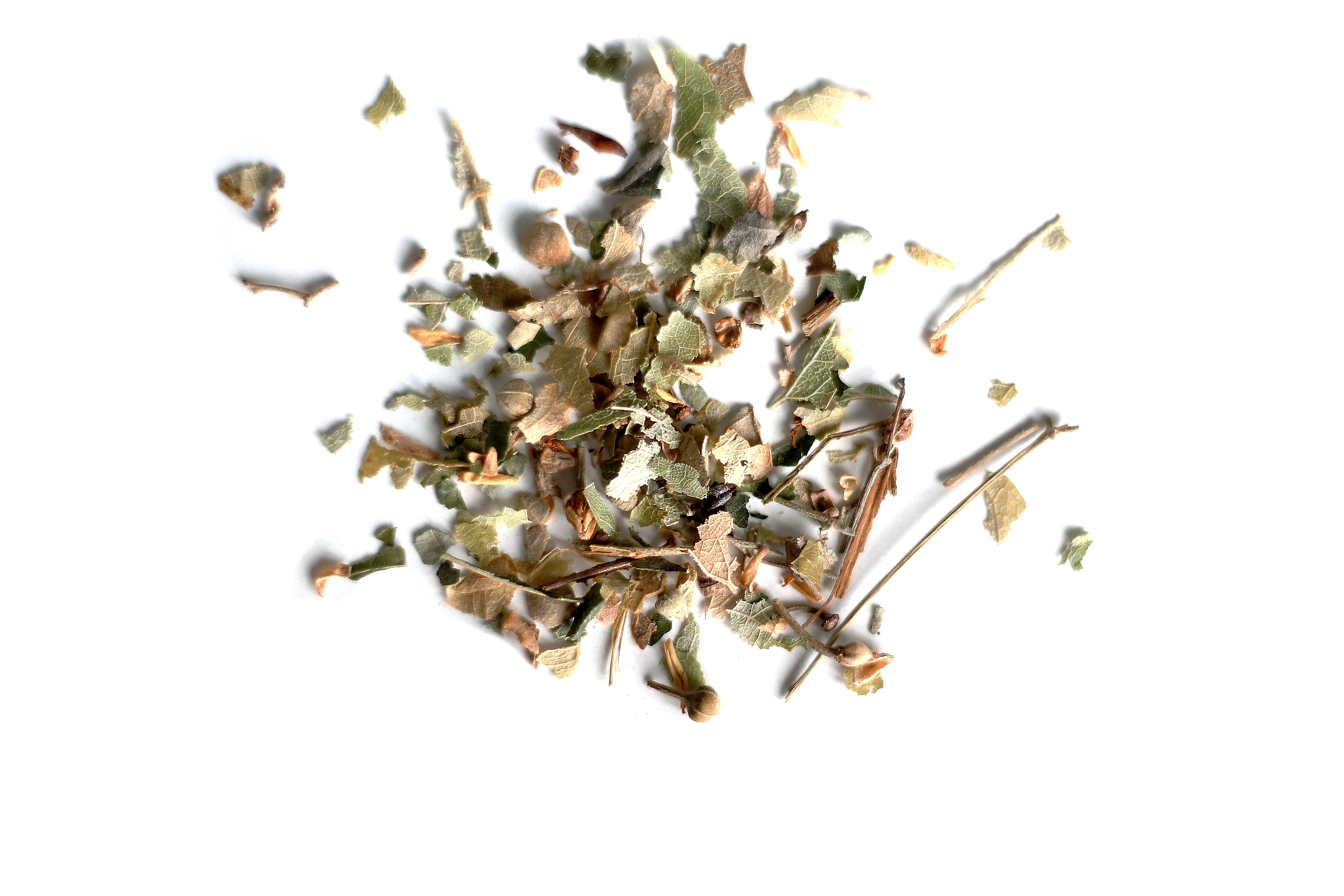 Looser Tee Mareile Lindenblüte Bio Kräutertee Pure Tea